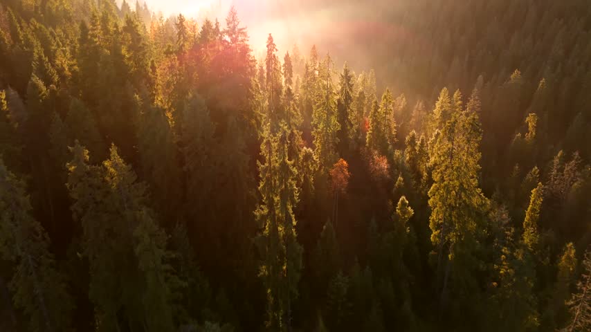 Dawn in the mountains in autumn. Sun rays break through the morning fog.