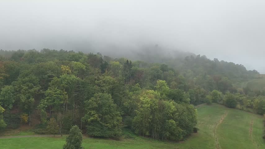 Morning Fog Over Colorful Autumn Forest