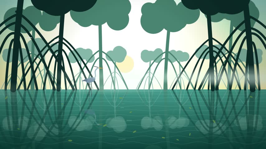 Mangrove Dawn Loop with Misty Swamp, Heron and Reflective Water