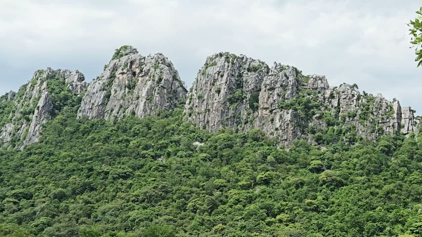 A limestone mountain with trees covering its base