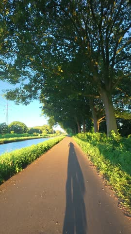 POV Cycling Along Tree-Lined Canal Path in Golden Morning Light, Antwerp Belgium