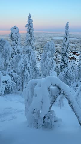 Winter landscape with frost-covered trees overlooking a valley at twilight in Finnish Lapland, Finland