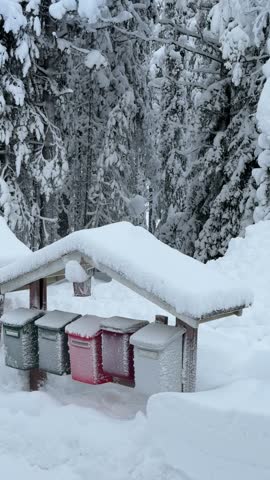 Snow-covered mailboxes at Santa Claus Village in Rovaniemi, Finnish Lapland, Finland