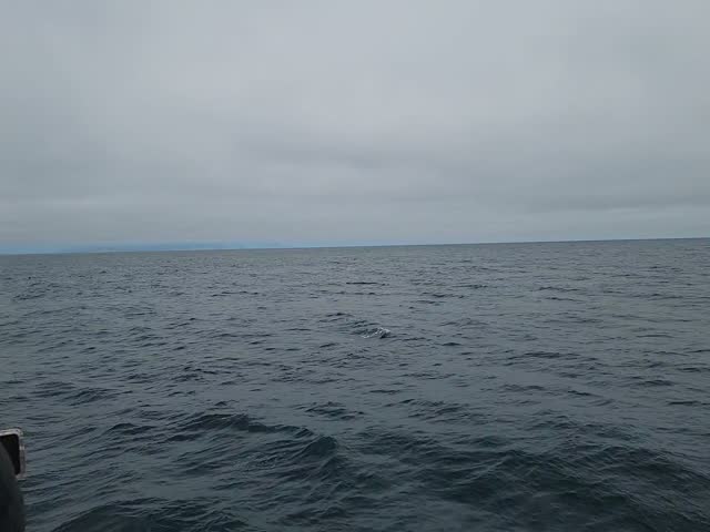 Choppy gray sea viewed from the rail of a red tour boat in Kenai Fjords National Park, Alaska