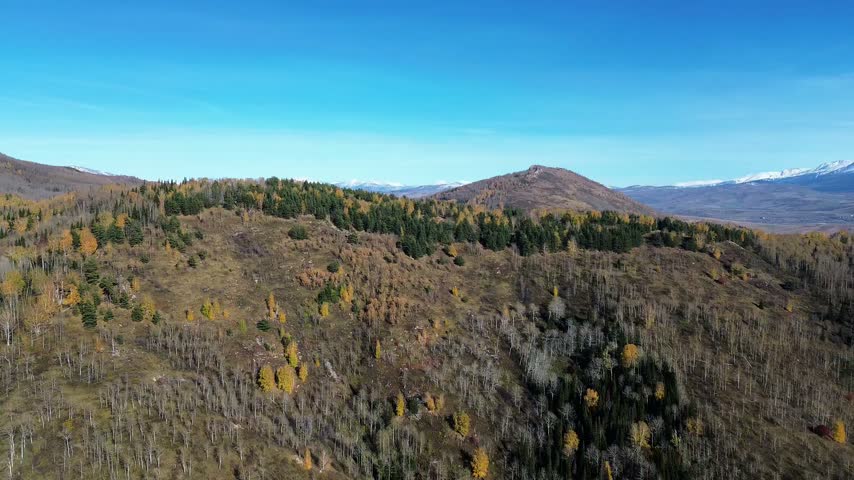 Aerial drone footage of an autumn mountain landscape with rolling hills covered in mixed forest, golden yellow foliage, dark green evergreen trees, and leafless deciduous trees. A snow-covered mountain range stretches across the horizon beyond a wide valley with scattered buildings and open fields under a clear blue sky.
