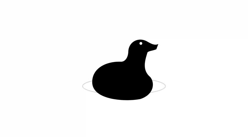 Minimalist flat graphics display solid black duck silhouettes positioned centrally against stark white backdrops. Subtle circular lines create concentric ripples beneath the creature suggesting fluid movement within calm liquid. Such high contrast vector style animation utilizes simple geometric shapes representing every serene avian character perfectly.