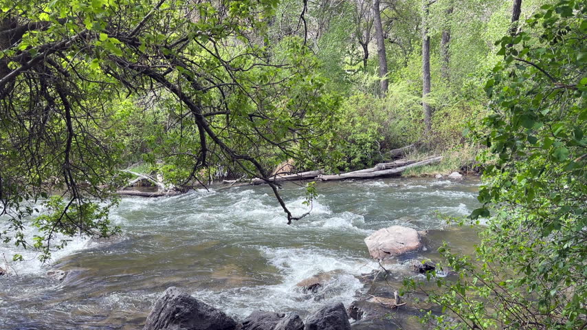 Fast Flowing Provo River Rapid in Lush Utah Canyon in springtime