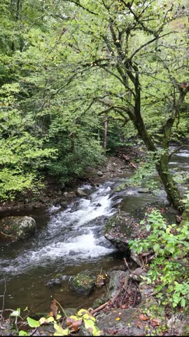 Water flows along the Middle Prong of the Little River in the Tremont section of Great Smoky Mountains National Park during the day.