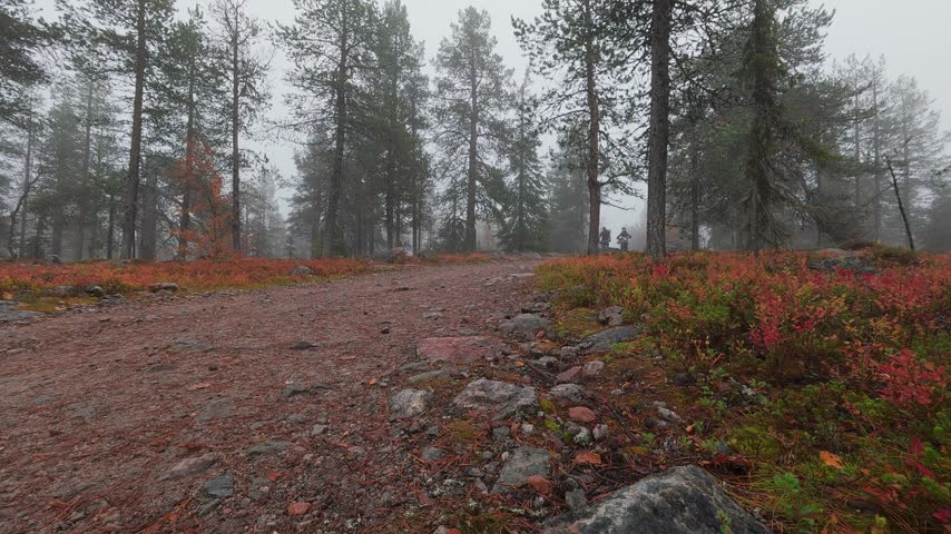 Father and son mountain bike riding on misty trail during autumn ruska season in Finland