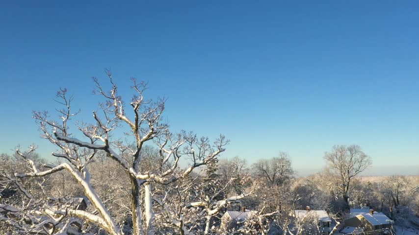 Aerial view of snow-covered trees and houses under a clear blue sky in Summit, New Jersey, United States.