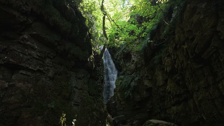 Rushing stream flowing over steep cliffs inside shadowy gorge with vibrant emerald trees above