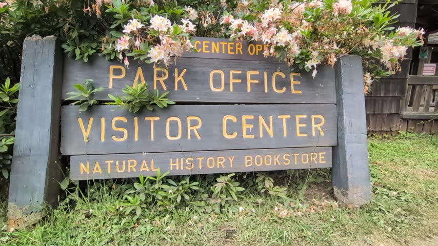 Carved wooden park entrance sign adorned with blooming white flowers welcoming visitors.
