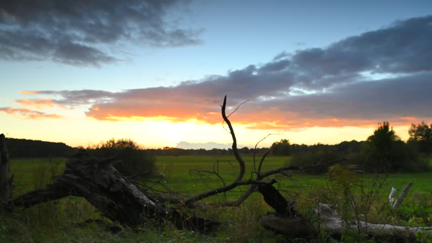 Autumn landscape, sunset sky, xsunset light, field, branches on the ground