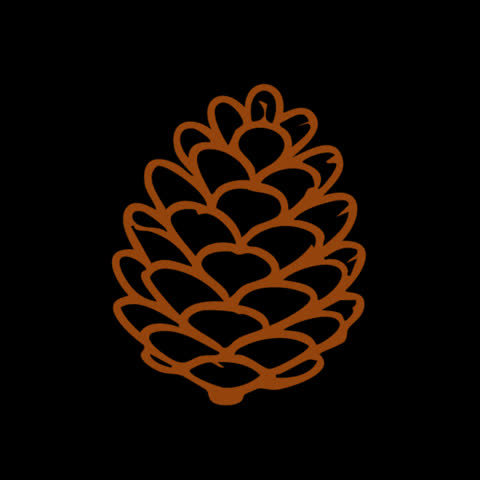Animated pine cone outline illustration in warm brown and orange tones. Minimalist hand-drawn woodland graphic with a transparent background, perfect for autumn-themed videos, nature compositions, seasonal decorations, and motion graphics overlays.