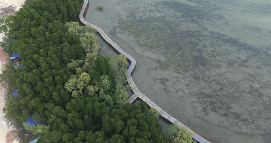 Turning aerial view follows a long, winding boardwalk that stretches along the coastline, snaking through the lush mangrove forest and over the shallow waters of the sea.
