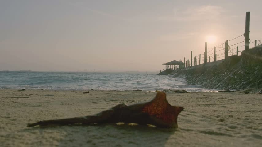 Small waves reach the sandy shore as the sun sits near the horizon beside a fenced walkway at a tropical resort on Samal Island, Philippines.