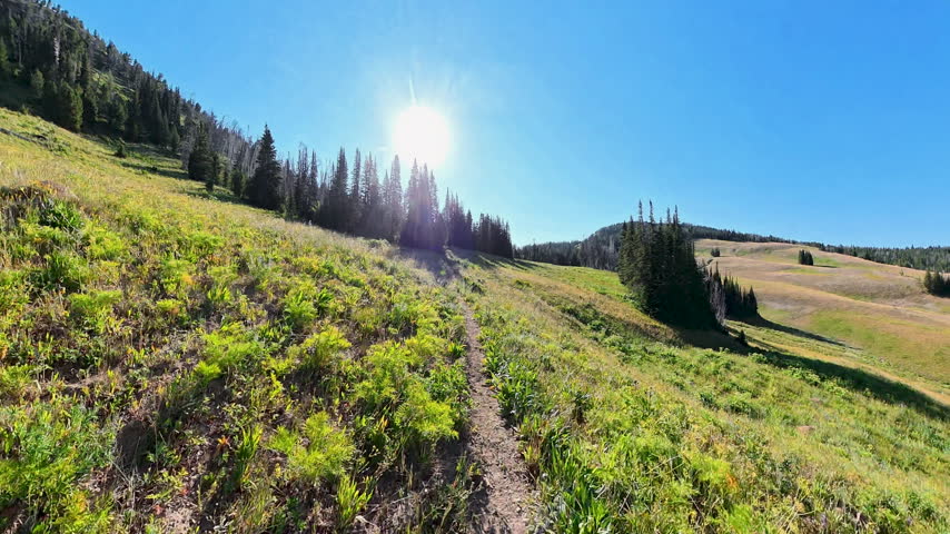 Morning Sun Rises over Yellowstone Trail on Sunny Summer Morning