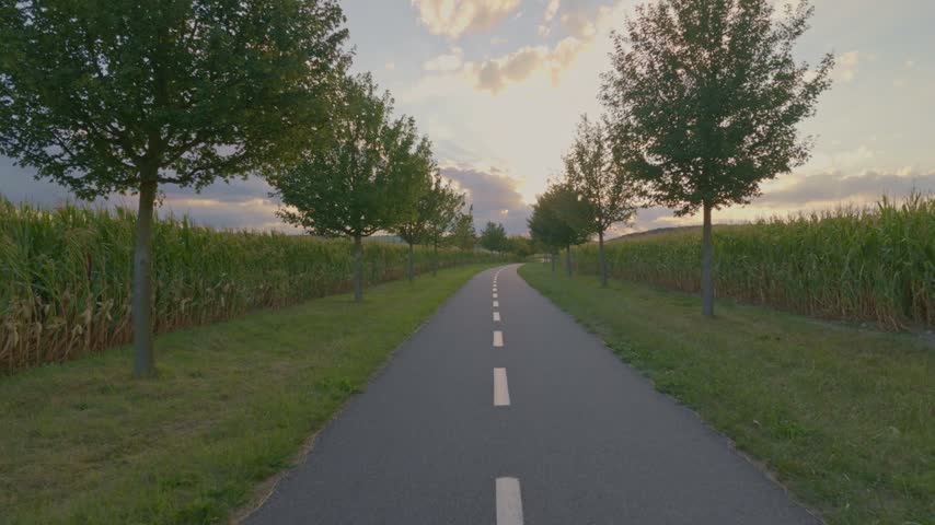 A walking and biking trail in the countryside, lined with trees. A tree-lined path between cornfields. Sunset in the early evening