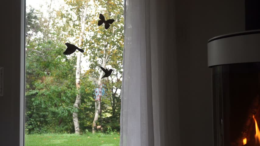 Camera pans and tilts to propane stove in a modern farmhouse, with the flame flickering nicely. Rain is gently falling outside, evoking a sense of warmth and comfort.