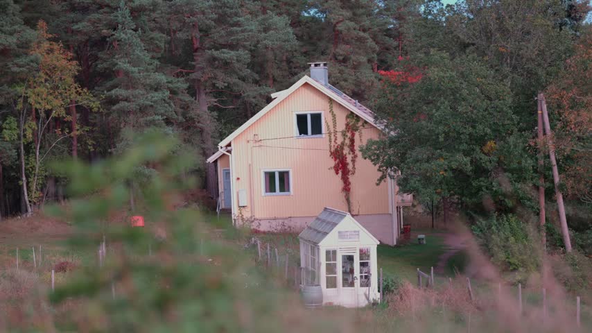 An old yellow countryside house nestled beside dense autumn woods, featuring red climbing vines on its exterior wall and a small glass greenhouse in the yard.