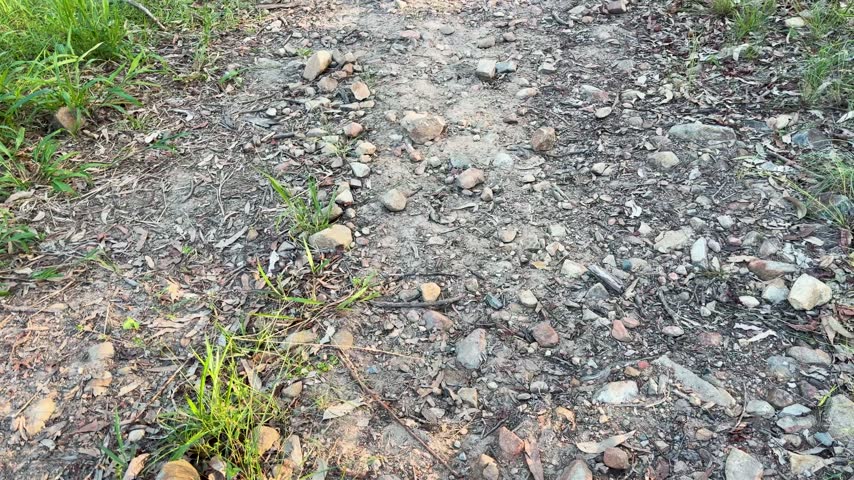 Person kicks small stone across rocky forest path during outdoor walk. Dynamic footage capturing hiking activity on dirt trail.