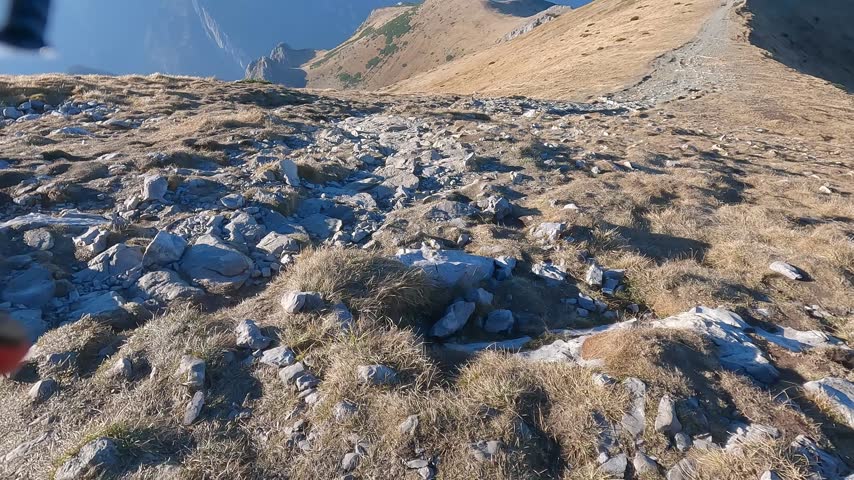 Stone and gravel path traverses open alpine grassland on the descent from Ciemniak