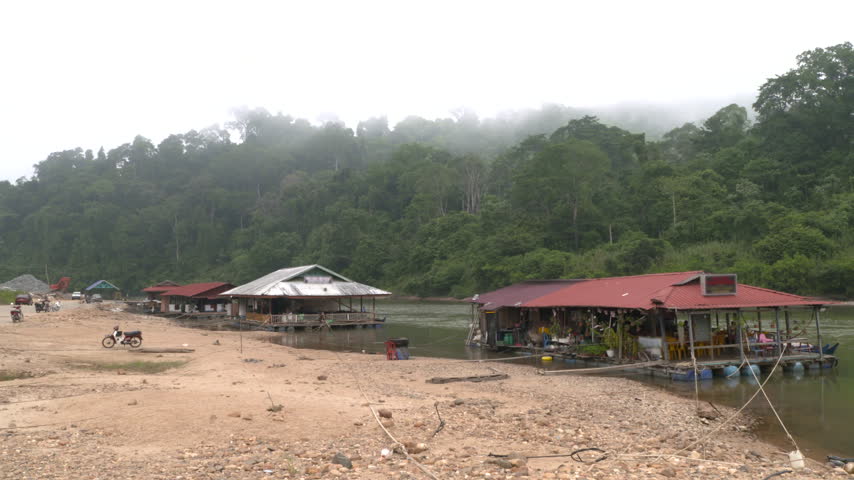 Misty jungle in the morning