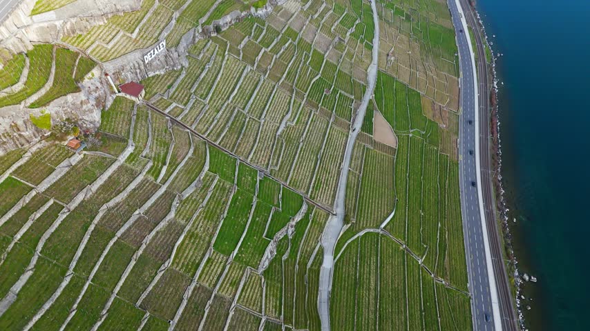 Lavaux terraced vineyards stretch above Lake Geneva in Montreux, Switzerland.