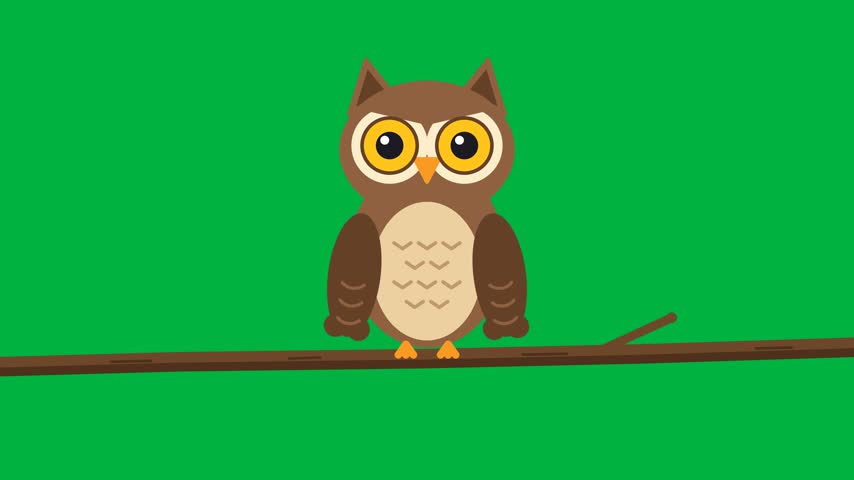 Cute cartoon brown owl perched on a tree branch blinking its big yellow eyes and tilting its head, seamless loop on a green screen