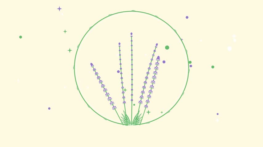 a motion graphic video featuring a beautiful, circular floral design