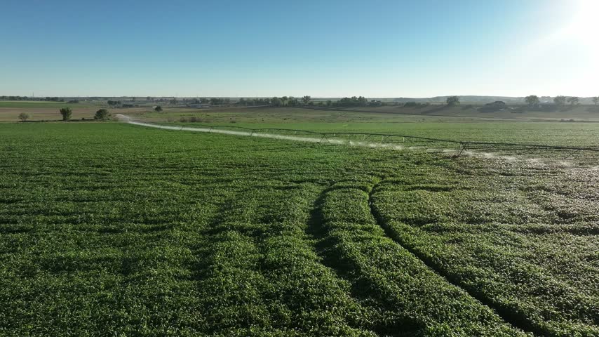 Center pivot irrigation with drop tubes to increase efficiency of farming during Colorado drought. Modern farming practices.
