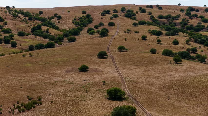 Aerial view of a winding dirt road cutting through the dry, grassy hills and scattered trees of Vashlovani National Park in Sabatlo, Kakheti, Georgia.