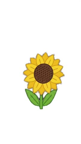 This short animation features a bright, cheerful sunflower centered against a clean white background. The minimalist botanical illustration showcases a large, textured dark brown center seed disc surrounded by vibrant yellow pointed petals. The flower is supported by a short stem flanked by two wide green leaves displaying clear vein details. The clean vector style and static presentation create a warm, sunny aesthetic, making this lovely floral graphic ideal for summer themes, nature projects, garden decor concepts, and simple digital vector design work.