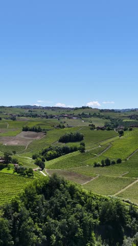 High angle panoramic view of rolling hills with lush green vineyards in Piedmont, Italy.