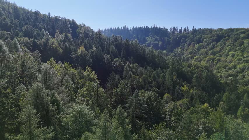 Aerial view of the Black Hills in South Dakota, USA. Coniferous pine forest.
