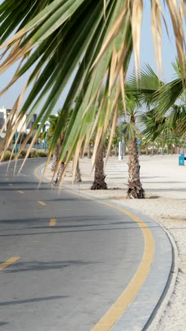 A paved beachside path curves past palm trees beside pale sand in Dubai, United Arab Emirates. Palm leaves frame the sunlit coastal setting.