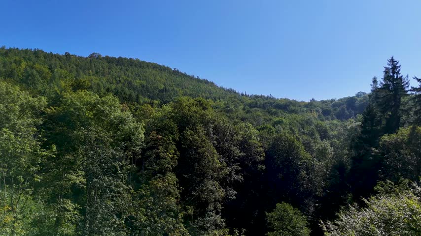 Aerial view of the Black Hills in South Dakota, USA. Coniferous pine forest.