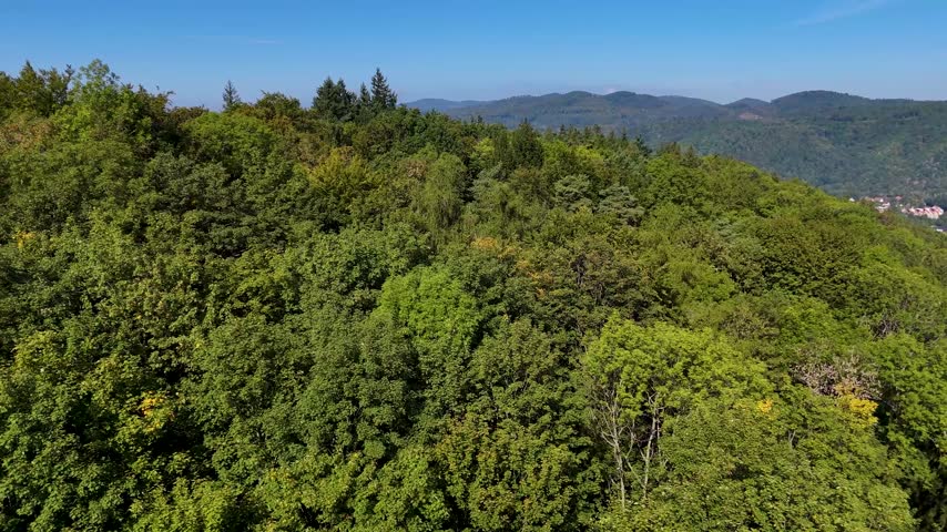 Aerial view of the Black Hills in South Dakota, USA. Coniferous pine forest.