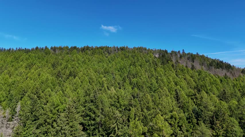Aerial view of the Black Hills in South Dakota, USA. Coniferous pine forest.