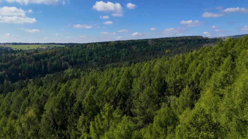 Aerial view of the Black Hills in South Dakota, USA. Coniferous pine forest.
