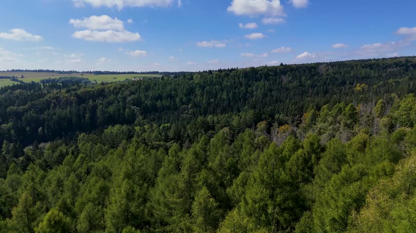 Aerial view of the Black Hills in South Dakota, USA. Coniferous pine forest.