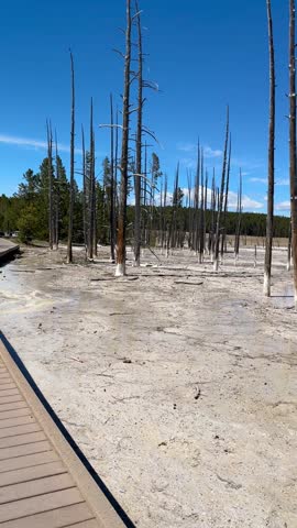 Geyser Field, Hot Springs, Fountain Paint Pots Trail, Yellowstone National Park, Wyoming, USA