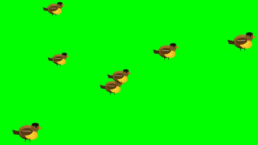 Floating finches with golden-yellow breasts, black caps and short orange beaks on pure chroma green; seamless 10s loop for easy keying.