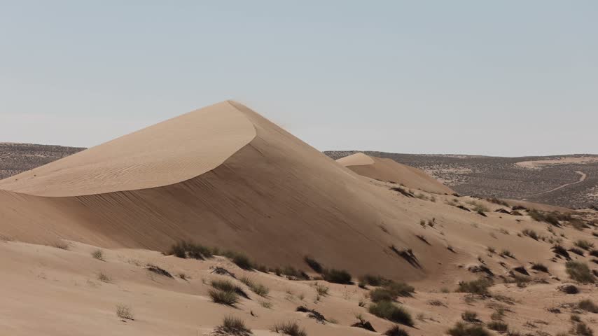 View of Eastern Sands desert dunes with rolling sand ridges and sparse desert vegetation under a clear sky in Nizwa, Ad Dakhiliyah, Oman.