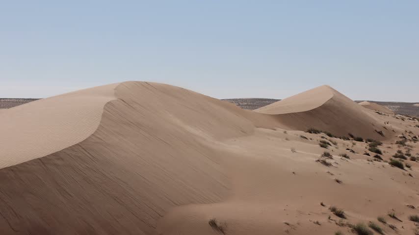 View of the vast sand dunes of the Eastern Sands with wind-swept ridges and sparse desert vegetation under a clear sky in Nizwa, Ad Dakhiliyah, Oman.