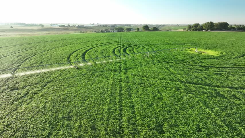 Irrigated farmland in Northern Colorado with center pivot irrigation