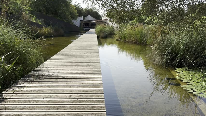 Barcelona, Spain, A wooden footbridge spans a peaceful pond surrounded by greenery in the Botanical Garden of Barcelona on Montjuic hill.