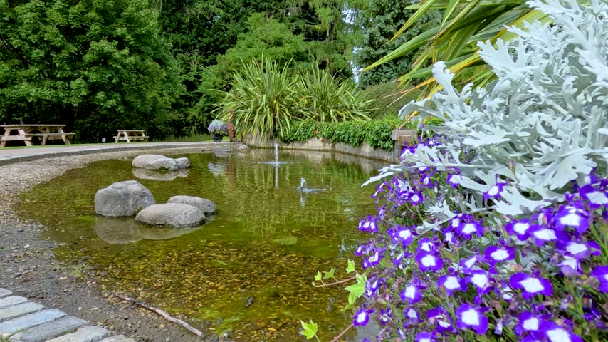 Small garden pond with water fountain feature surrounded by purple lobelia flowers and lush landscaping in public park.