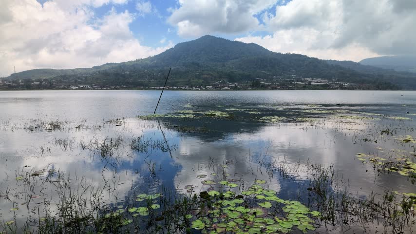 Scenic landscape view of a calm lake with lily pads, water plants, and a mountain range reflecting on the water surface under a cloudy sky