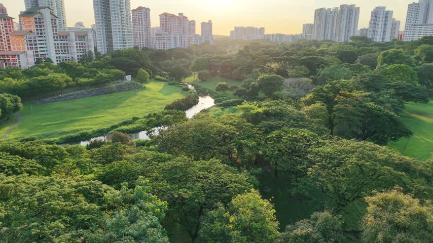 Bishan Park, Panning shot overseeing the horizon in a beautiful sunset.